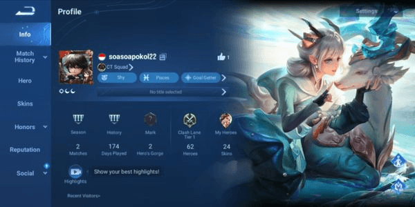 Gambar Product CHEAPEST GG WINRATE SMURF HOK ACCOUNT