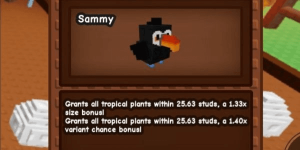 Gambar Product Toucan Pet