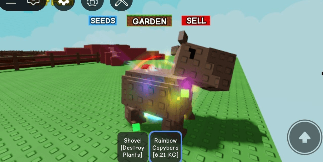 product-image-0