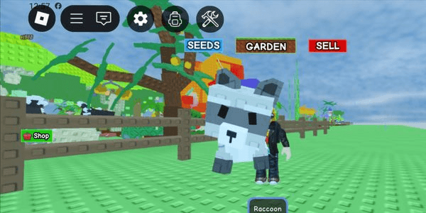 Gambar Product Raccoon - Grow A Garden