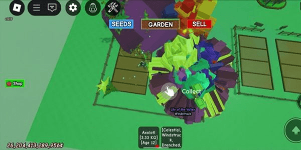 Gambar Product Akun grow A garden 1 Honeysuckle, Many Rosy delight Mutations, many moon melon and moon mango Coin 26T