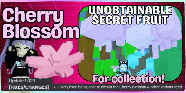 Gambar Product Cherry Blossom (Secret Fruit)