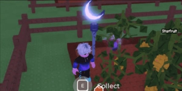 Product Showcase