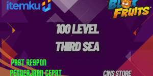 Leveling 3rd Sea