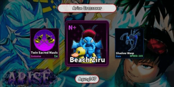 Gambar Product Akun Beach Ziru N+ | Arise Crossover