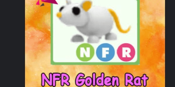 Gambar Product Golden Rat (NFR)