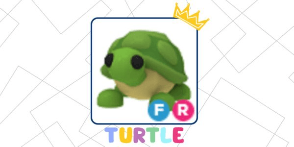 Gambar Product Turtle [FR] - Adopt Me Pet