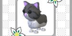 Gambar Product Persian Cat - Adopt Me