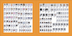 product-image-2