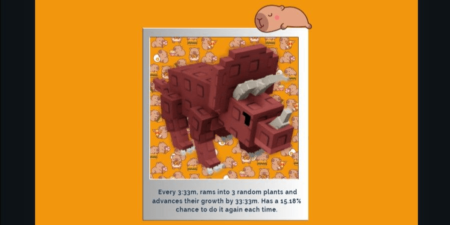 product-image-0