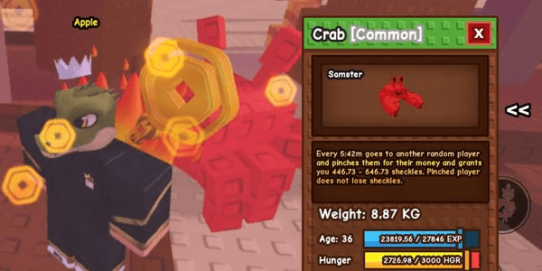 Gambar Product crab 8kg