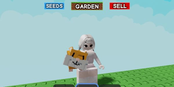 Gambar Product hamster