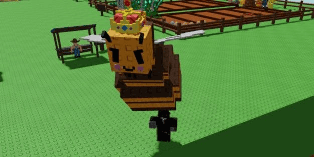 Product Showcase