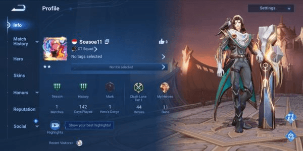Gambar Product CHEAPEST GG WINRATE SMURF HOK ACCOUNT