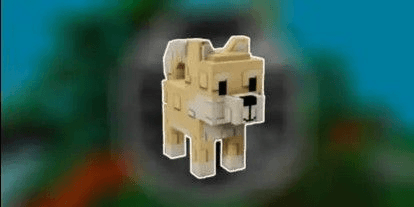 product-image-0