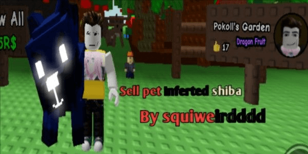 Product Showcase