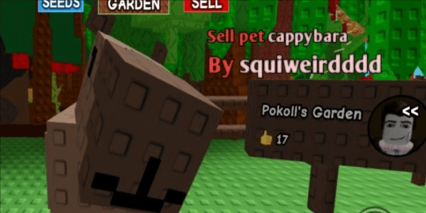 Gambar Product Pet cappybara