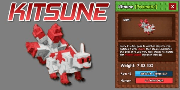 Product Showcase