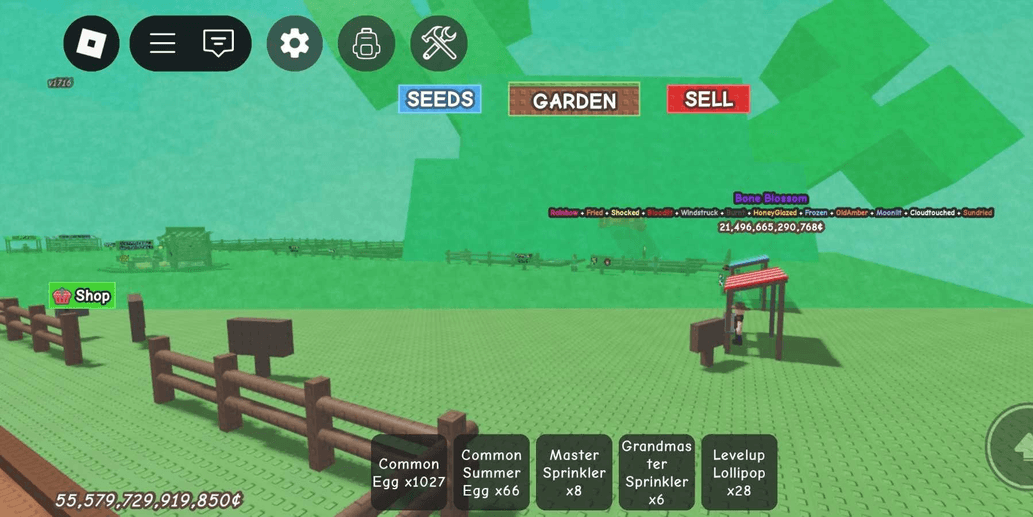 Product Showcase
