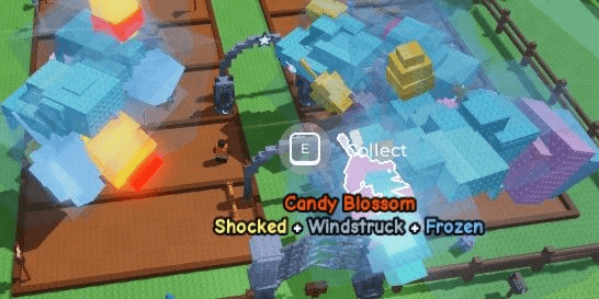 Gambar Product ACCOUNT 3 CANDY BLOSSOM