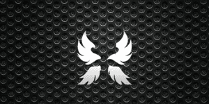 joki race angel v3