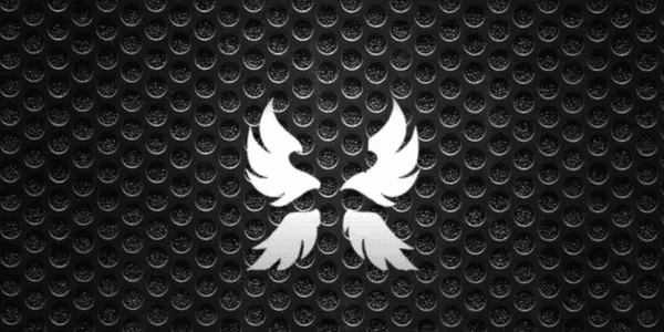 joki race angel v3