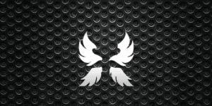 joki race angel v3