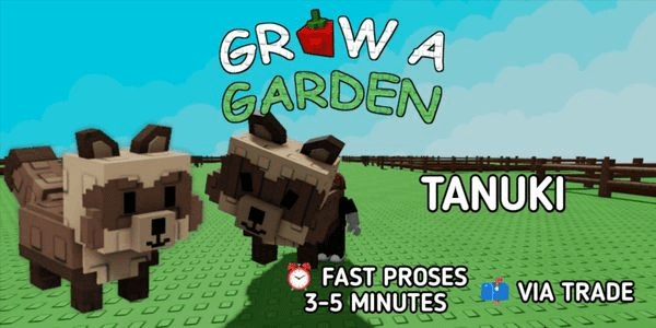 Gambar Product Tanuki