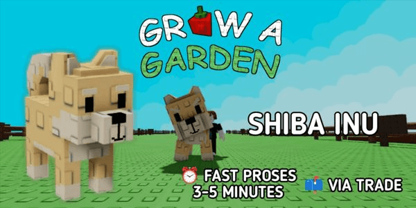 Gambar Product Shiba Inu