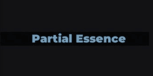 Partial Essence