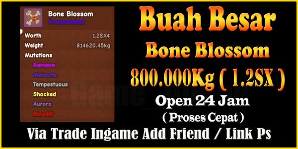 Gambar Product Super Big Fruit