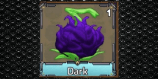 Gambar Product Dark Fruit