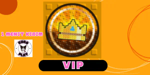 VIP