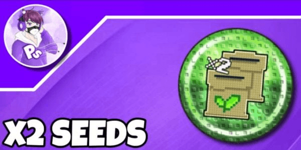 Gambar Product x2 Seeds