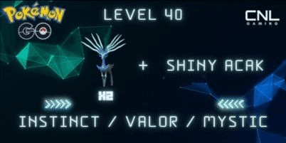 Gambar Product [Instinct / Valor / Mystic] Level 40+ / 2 Xerneas + Random Shiny / 2M5+ Stardust / Login PTC