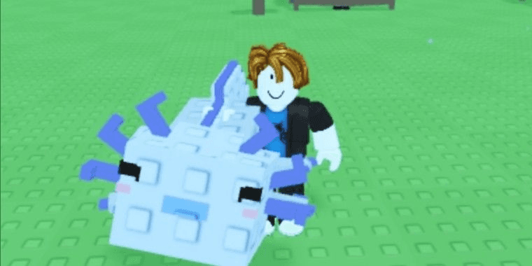 Product Showcase