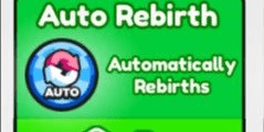Gambar Product Auto Rebirth