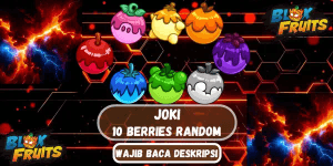 10 BERRIES RANDOM