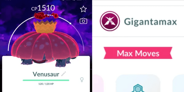 Venusaur Gigantamax Special Background
