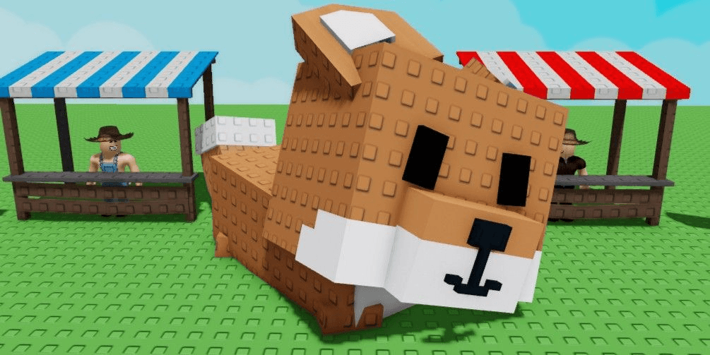 Product Showcase