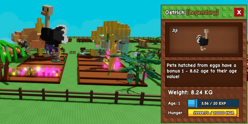 Product Showcase