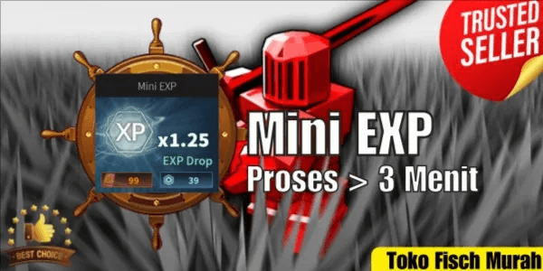 Mini EXP