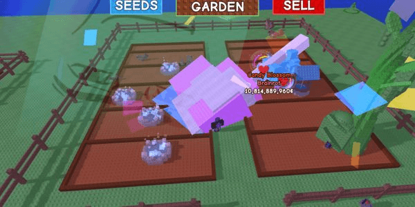Gambar Product Account 2 Candy Blossom, 1 Bone Blossom, Many Seeds and Gears, Good Avatars.
