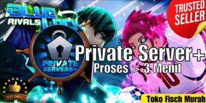 Private Server+