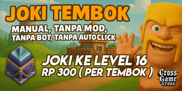 Gambar Product Boost Wall to Level 16 (Read Description Before Buying)