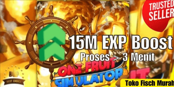 Gambar Product 15M EXP BOOST