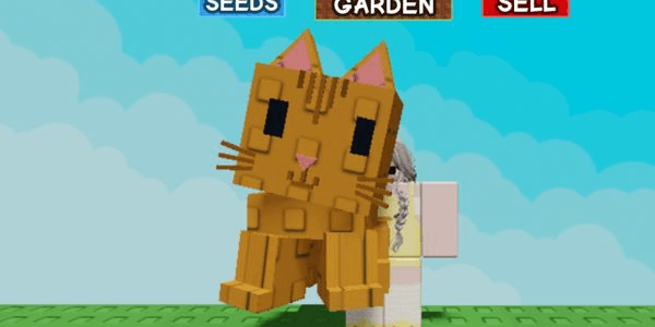 Gambar Product orange tabby