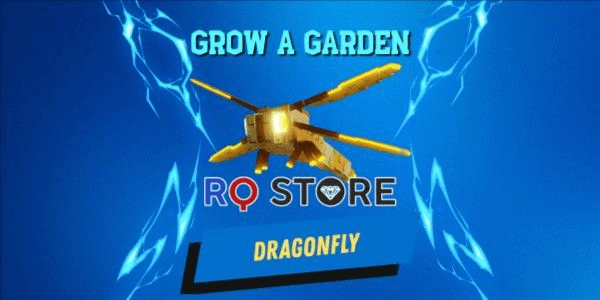 Gambar Product PET DRAGONFLY