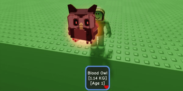 Gambar Product blood owl (limited pet) |pembelian akan mendapatkan bonus pet random(divine pet grow a garden)