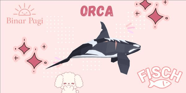 Gambar Product Orca - Fisch